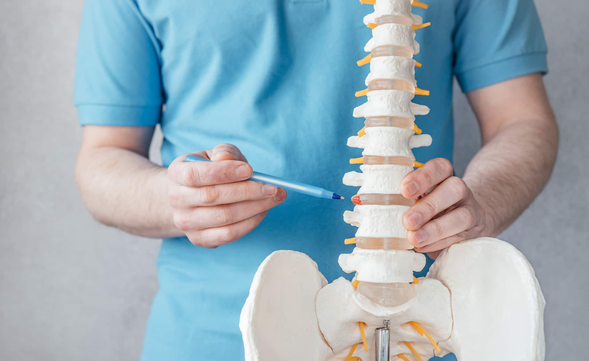 Lesiones discales Hernia Discal vs Protusión Discal